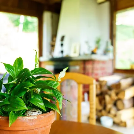 Hébergement de vacances Hill-view Holiday In With Garden And Patio